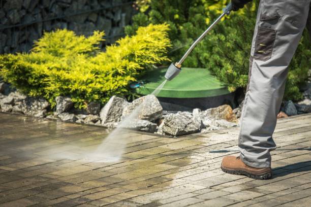 Best Soft Washing  in Naranja, FL